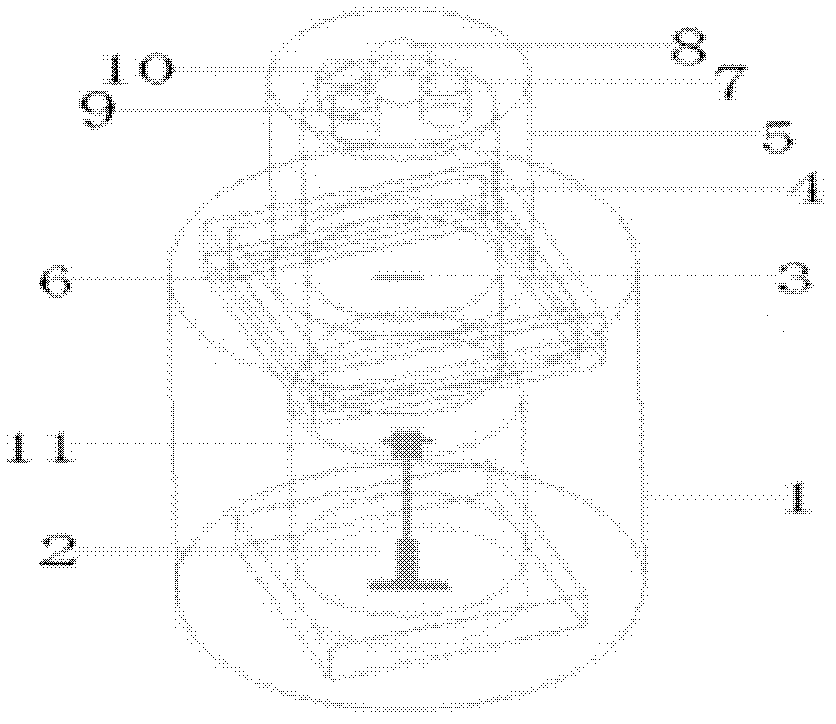 Embedded type magnetic stirring device