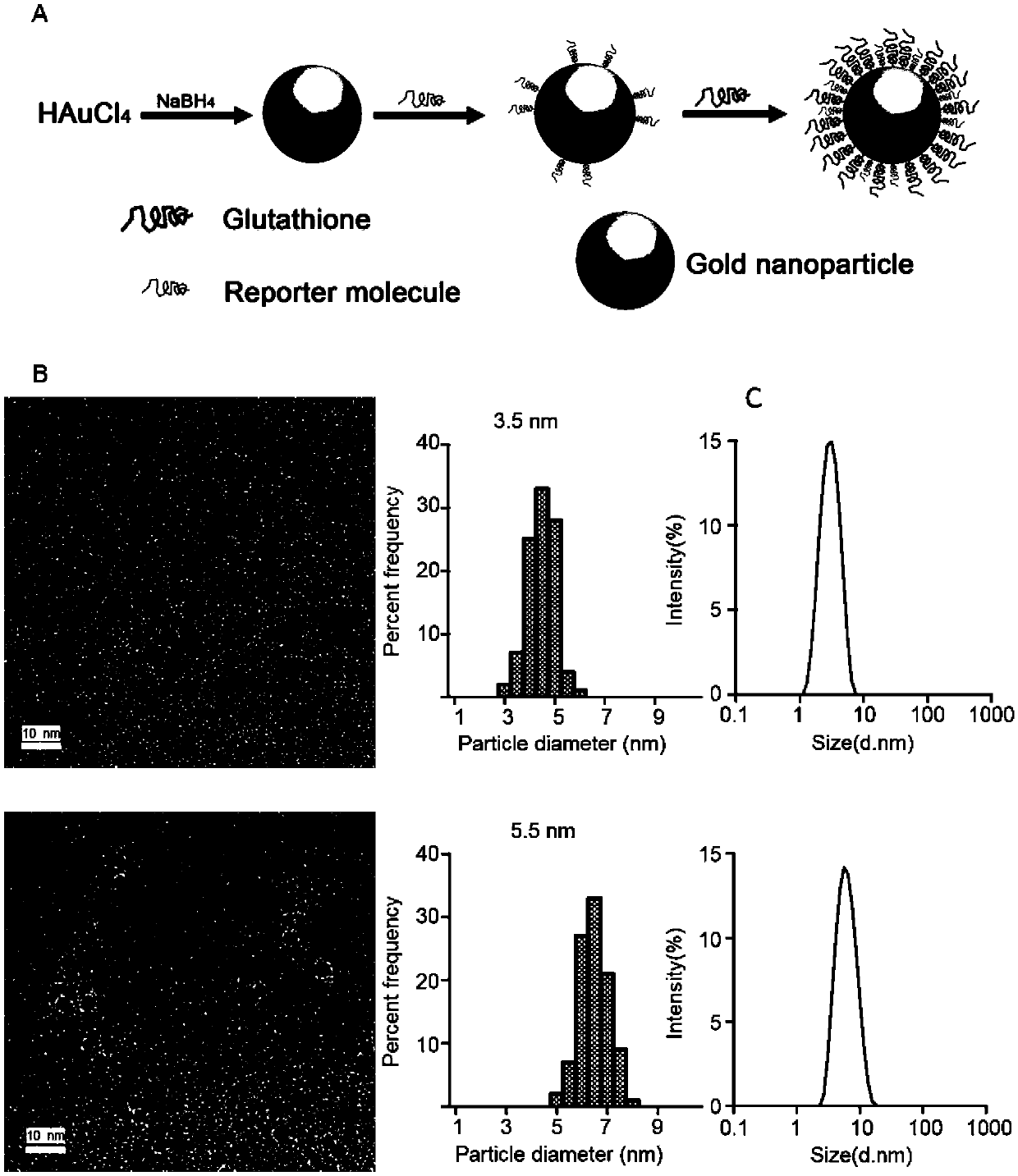 Use of nanometer gold probe to preparation of early diagnosis reagent for kidney injury