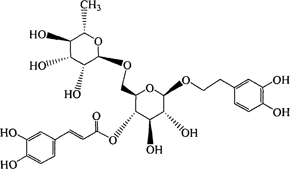 Forsythoside A drug composite
