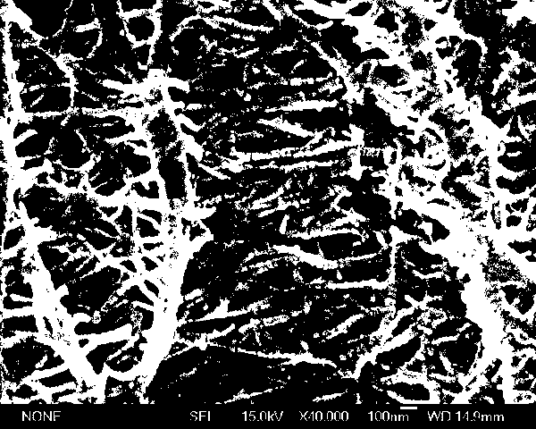 Coating material for lithium ion battery diaphragm