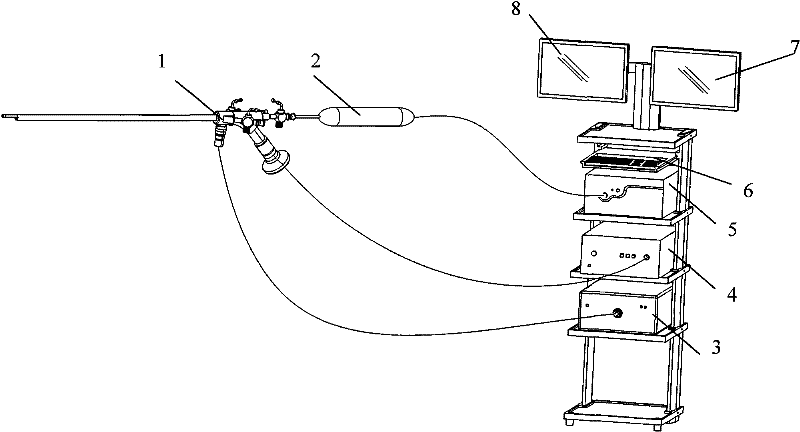 Rigid laser cholecystoscope system