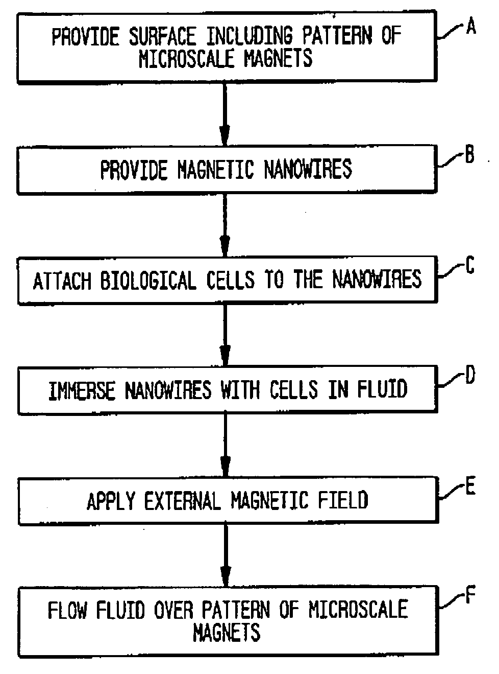 Method and magnetic microarray system for trapping and manipulating cells