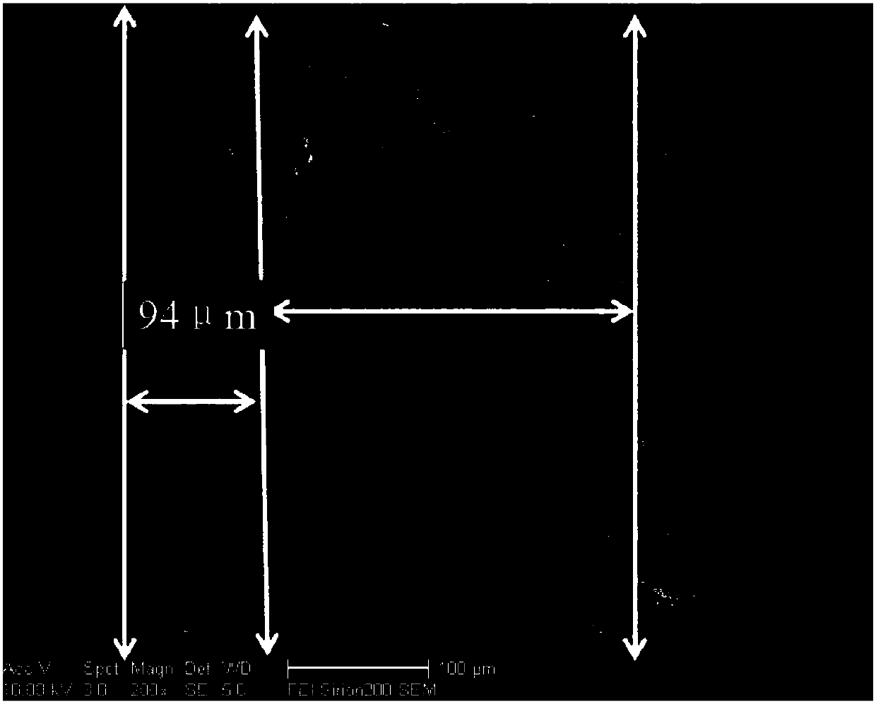 Preparation method of hollow fiber solid oxide fuel cell with petal-shaped cross section