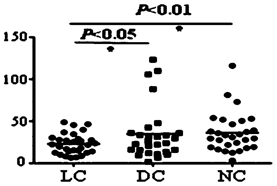 Use of detection reagent of CHAMP1 autoantibody in preparation of lung cancer screening kit