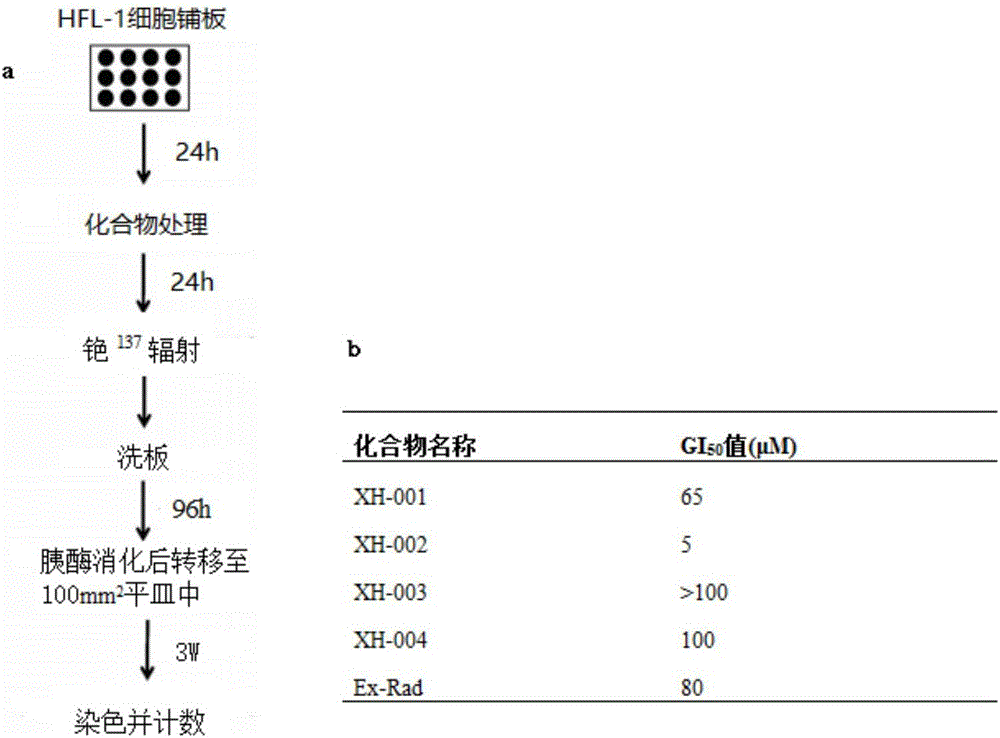 New compound with radiation protection function, preparation method and pharmaceutical application thereof