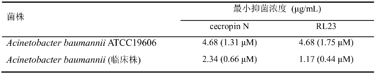 Application of cecropin-derived peptide