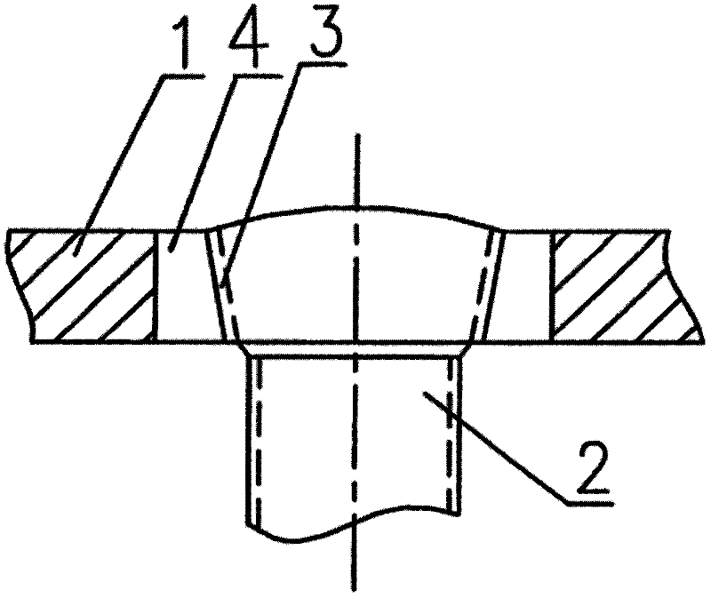 Orthopaedic implant locking elastic bone fracture plate