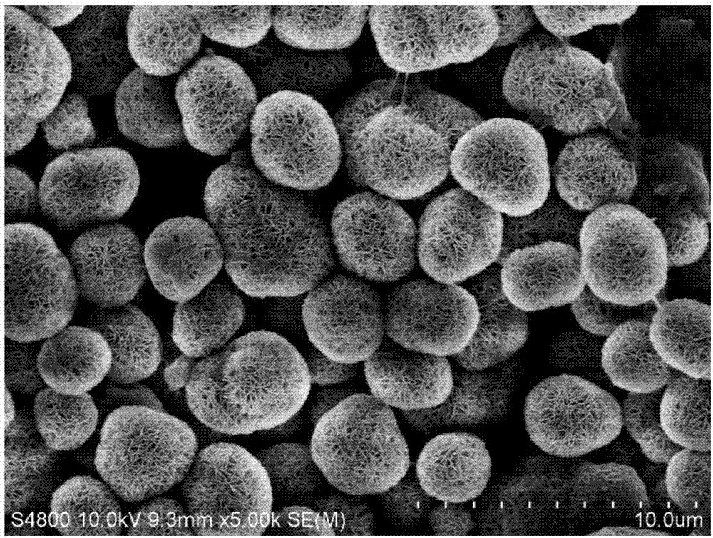 Preparation method of high-cycle-stability NCA positive electrode material applicable to power type lithium ion battery