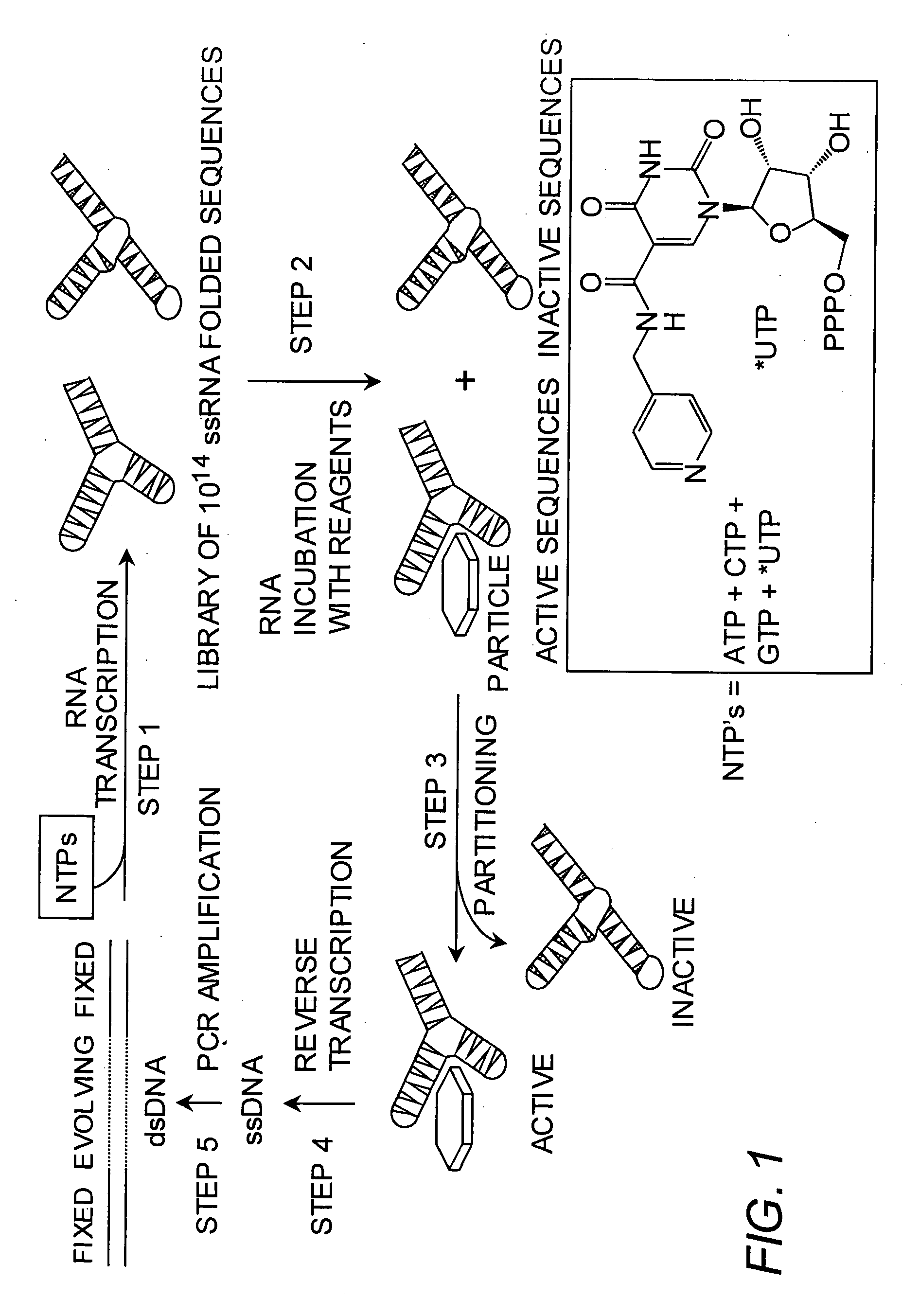 Novel methods of inorganic compound discovery and synthesis
