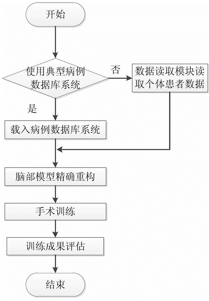 Neurosurgery brain operation typical medical history training system