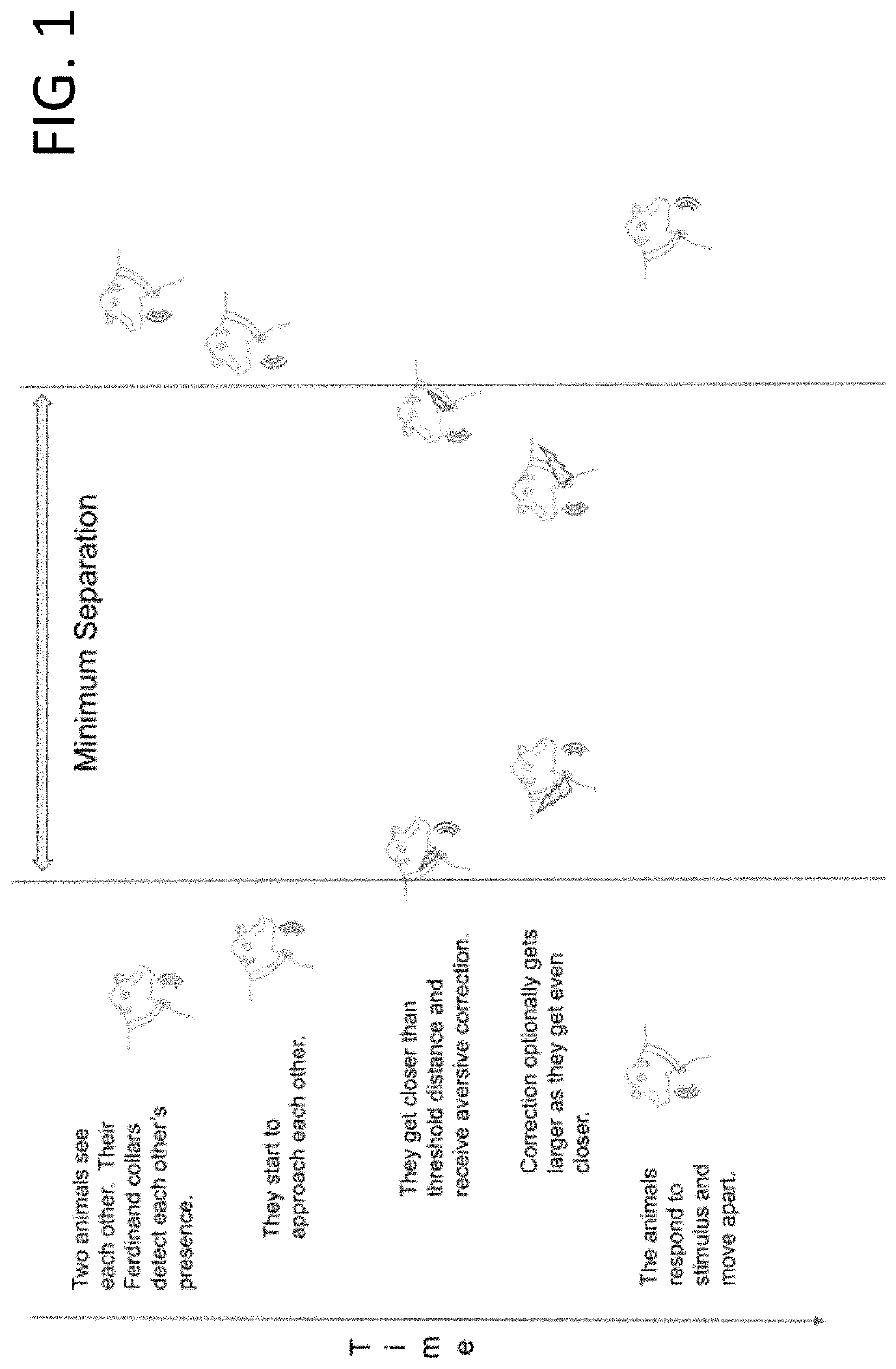 Use of Aversive Stimulus Collars to Deter Physical Confrontations Between Livestock