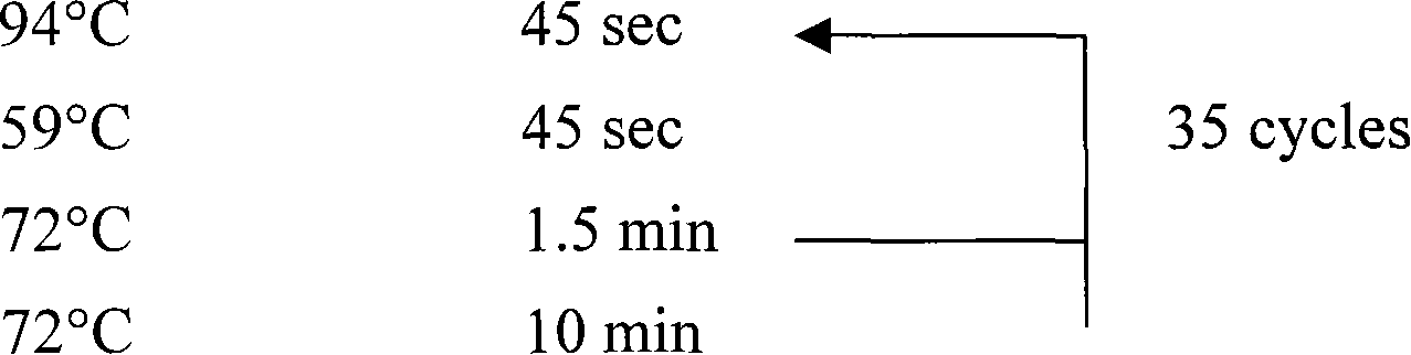 Nucleotides sequence, molecule probe and method for identifying zhejiang fritillary variant-dong fritillary