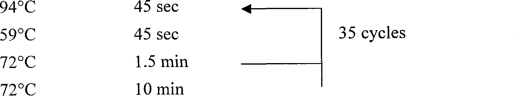 Nucleotides sequence, molecule probe and method for identifying zhejiang fritillary variant-dong fritillary