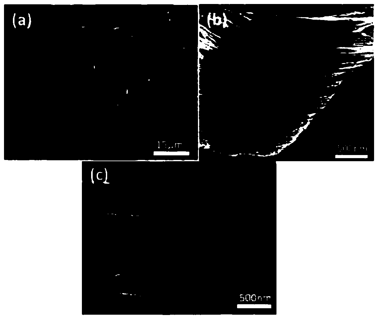 Anti-electromagnetic interference resistive memory and preparation method thereof