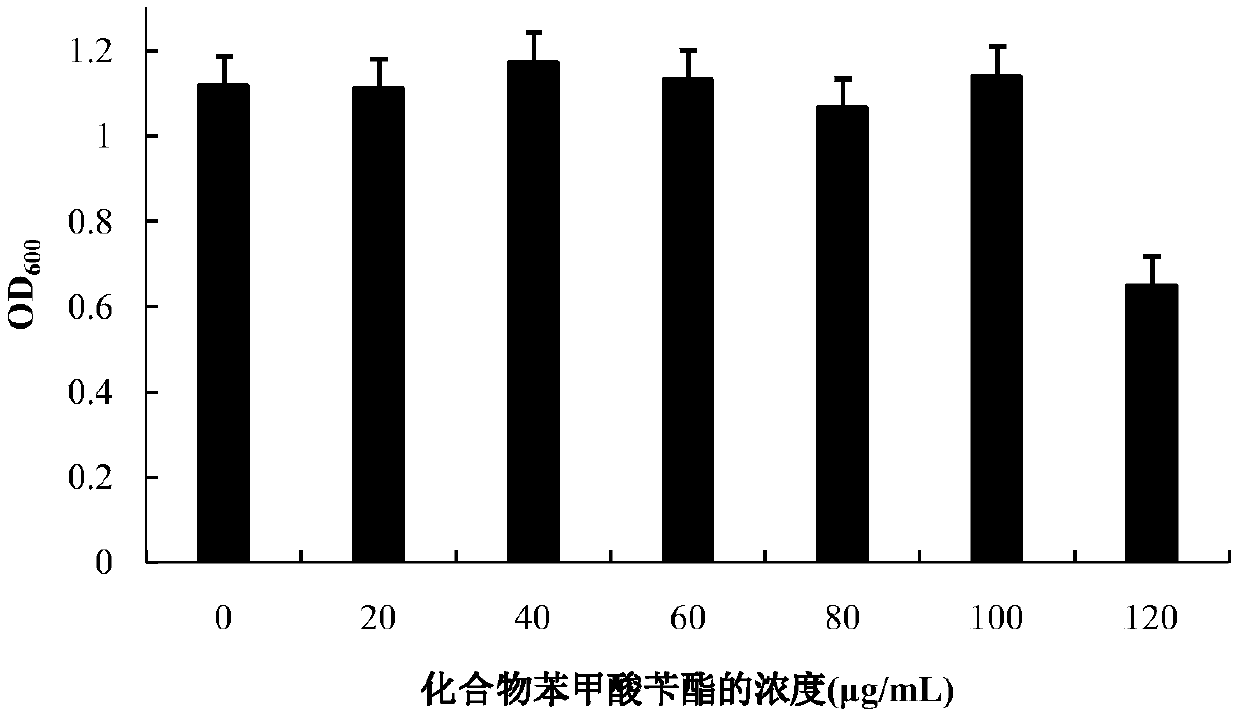 Application of a kind of benzyl benzoate in the preparation of bacterial quorum sensing activity inhibitor