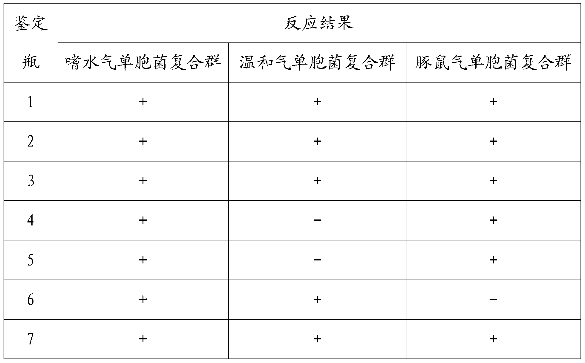 Detection kit for distinguishing three aquatic source aeromonas composite groups