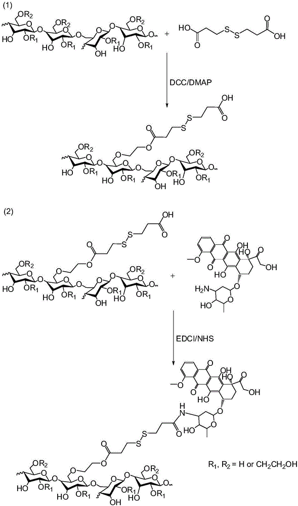 Anticancer hydroxyethyl starch-doxorubicin conjugate and preparation method thereof