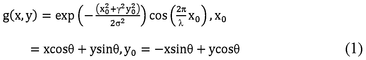 Feature extraction method based on biological vision