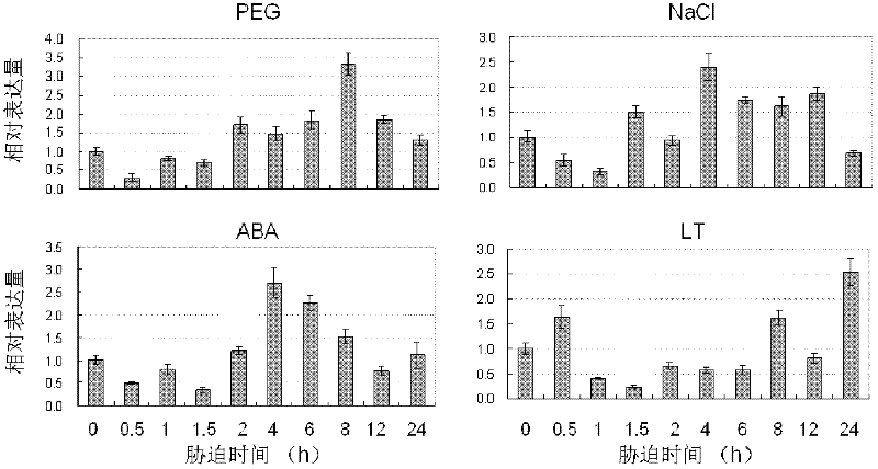 Plant stress tolerance related protein TaSnRK2.10 as well as coding gene and application thereof