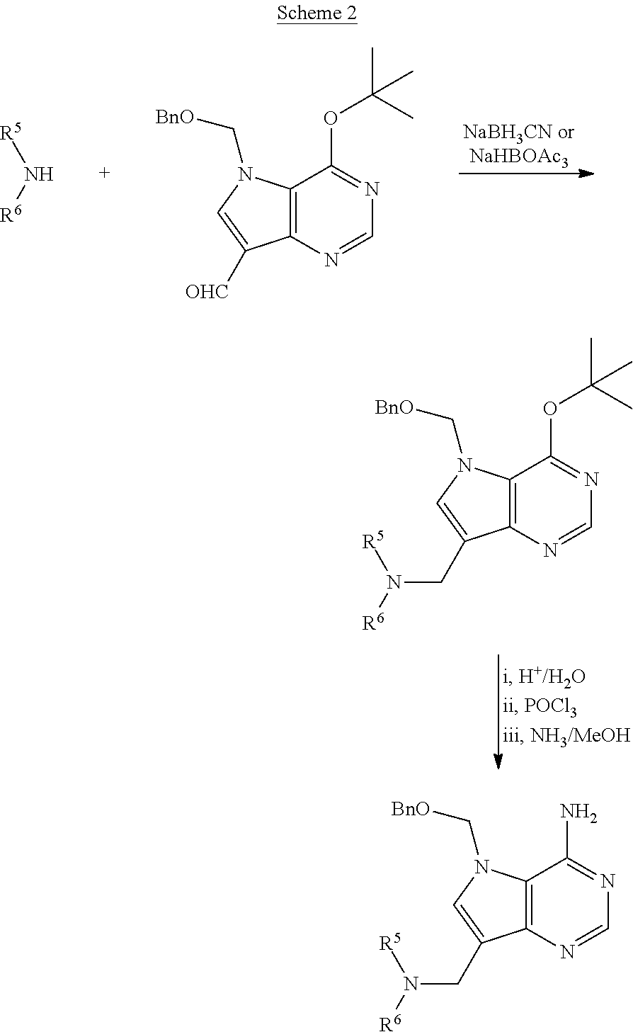 Acyclic amine inhibitors of 5-methytioadenosine phosphorylase and nucleosidase