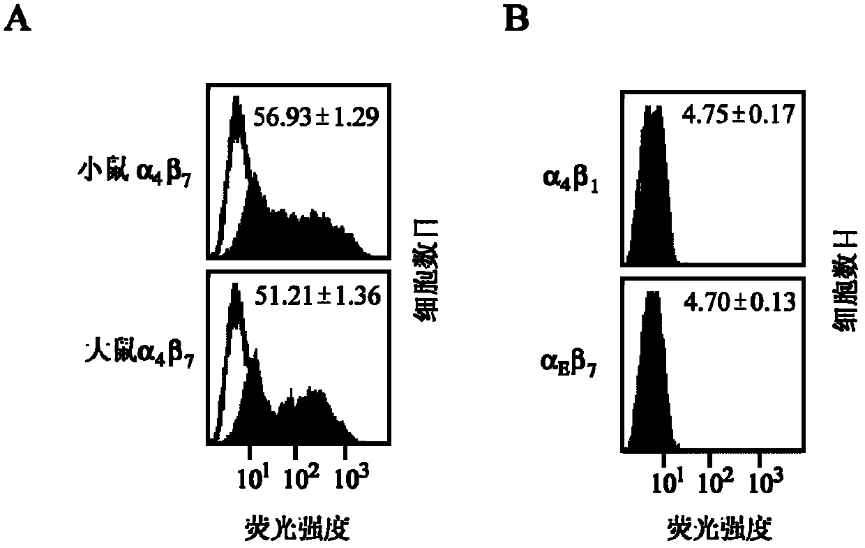 Human derived monoclonal antibody for identifying activated integrin alpha 4 beta 7