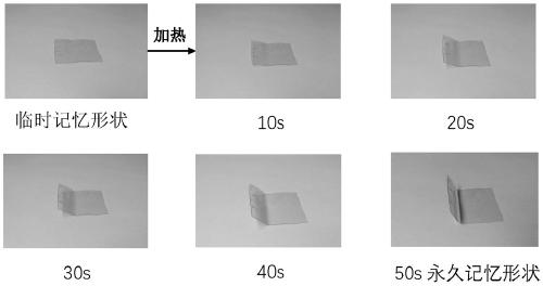 A double anti-counterfeit material, anti-counterfeit label, preparation method and anti-counterfeit detection method