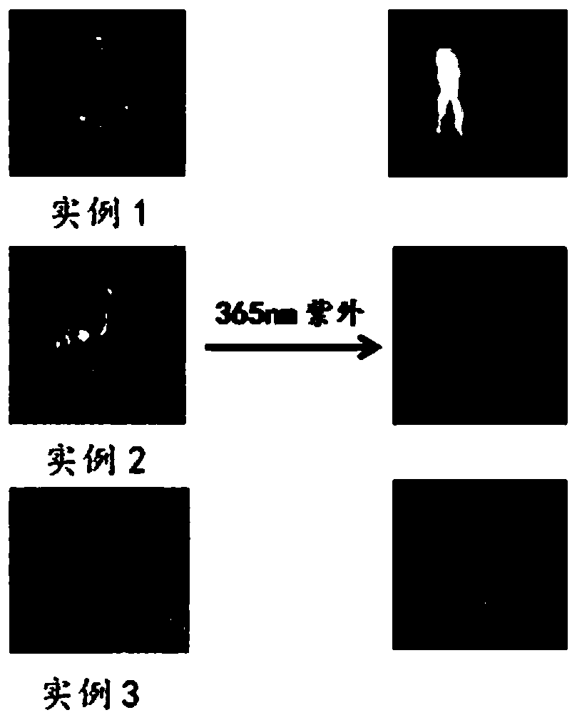 A double anti-counterfeit material, anti-counterfeit label, preparation method and anti-counterfeit detection method