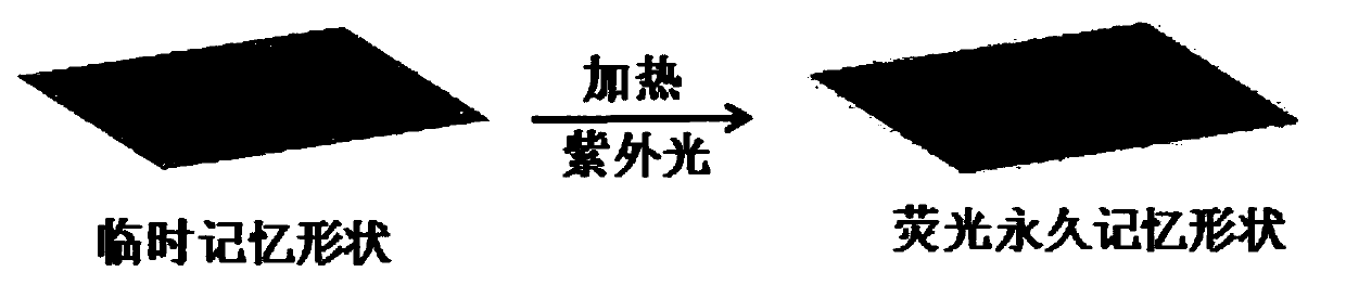 A double anti-counterfeit material, anti-counterfeit label, preparation method and anti-counterfeit detection method