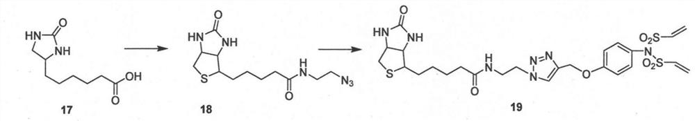 A kind of bisethylene sulfonamide linker and its preparation and application