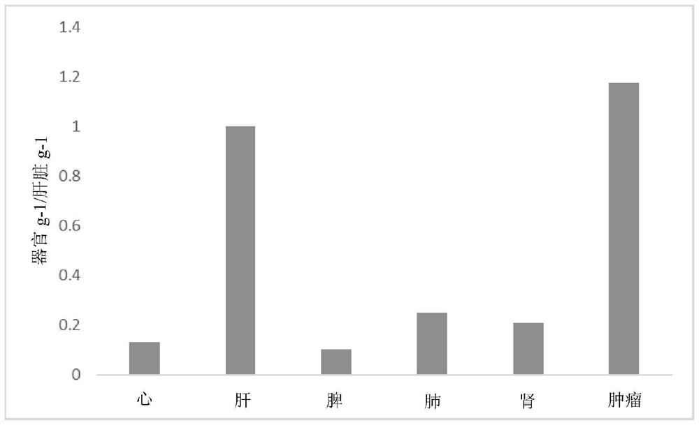 Surface-modified mesoporous silica nanoparticles, method for producing same, and use thereof