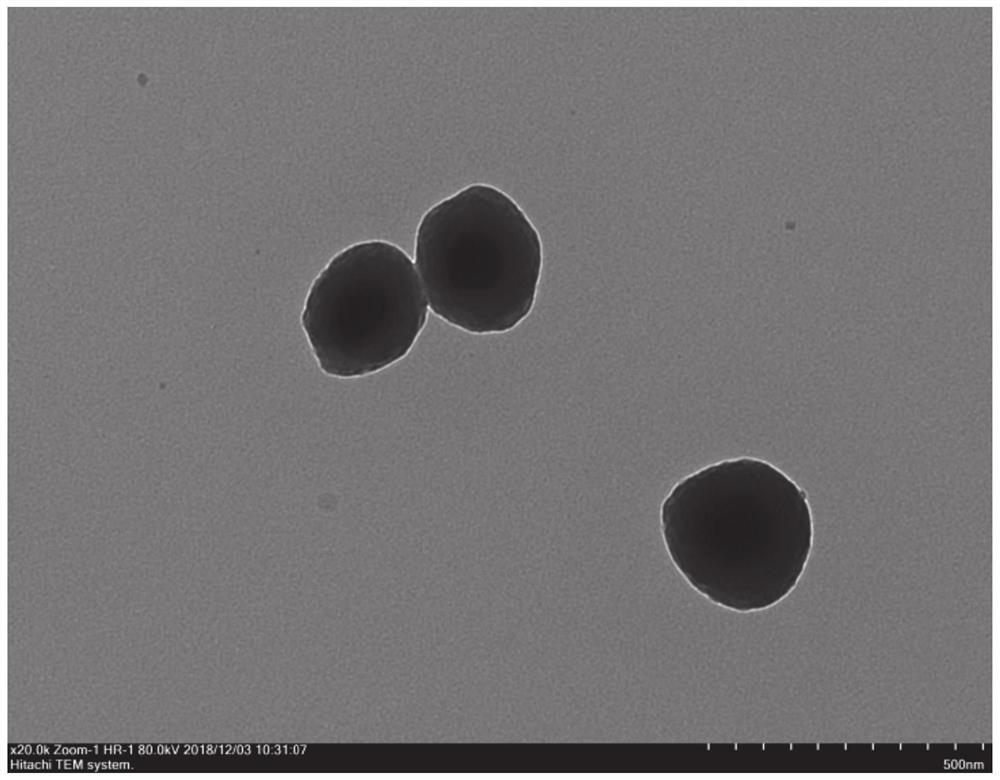 Inorganic-organic composite nanoparticle as well as preparation method and application thereof