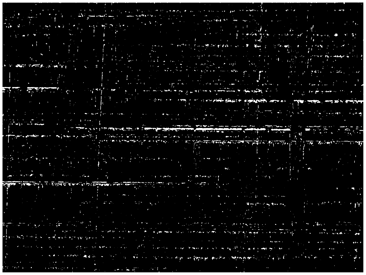 Laser shock prediction method based on laser fluctuation and surface laser light scattering and device