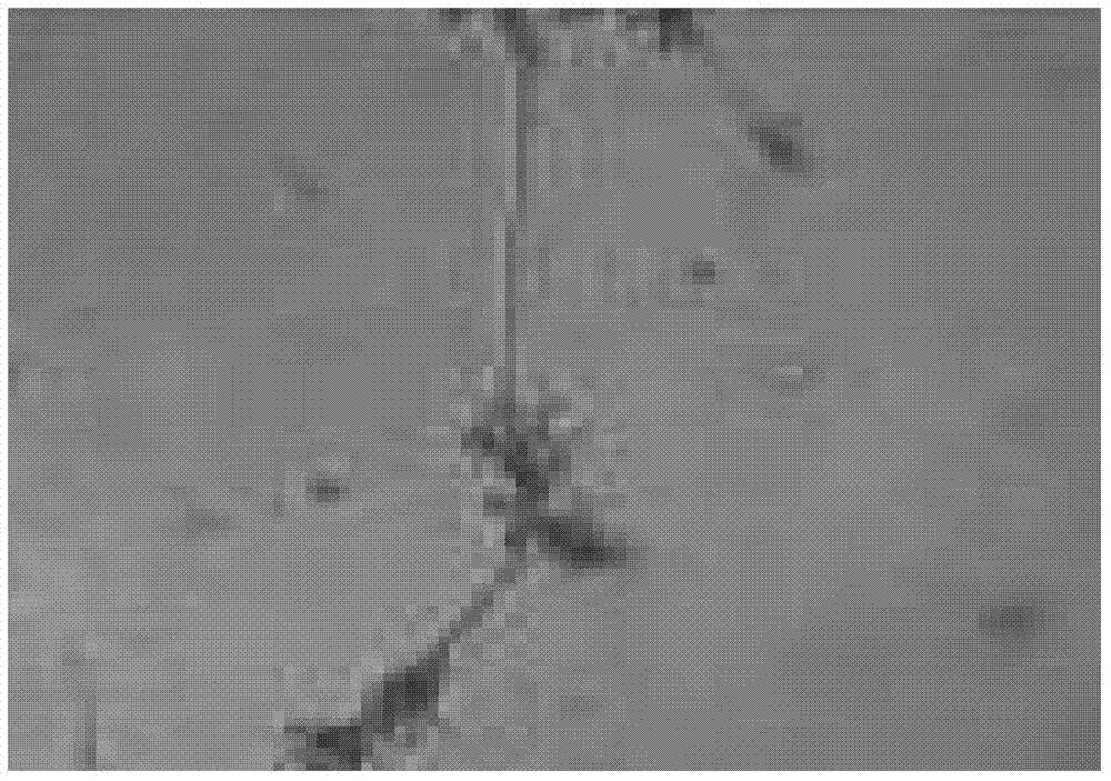 2-undecyl-3-methyl-hydroxyl-quinoline compound as well as preparation method, pharmaceutical composition and use thereof