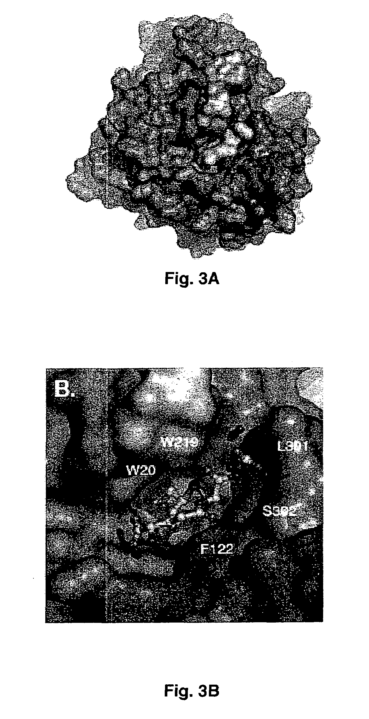 Method for designing a potential inhibitor of glutathione-aldehyde conjugate binding to aldose reductase