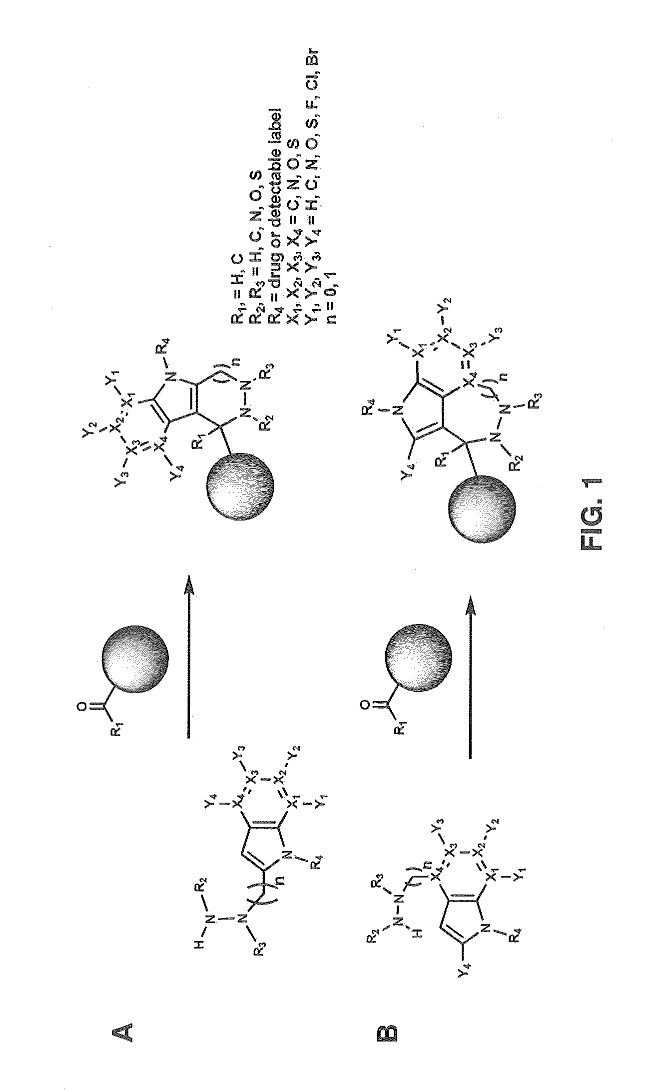Hydrazinyl-pyrrolo compounds and methods for producing a conjugate