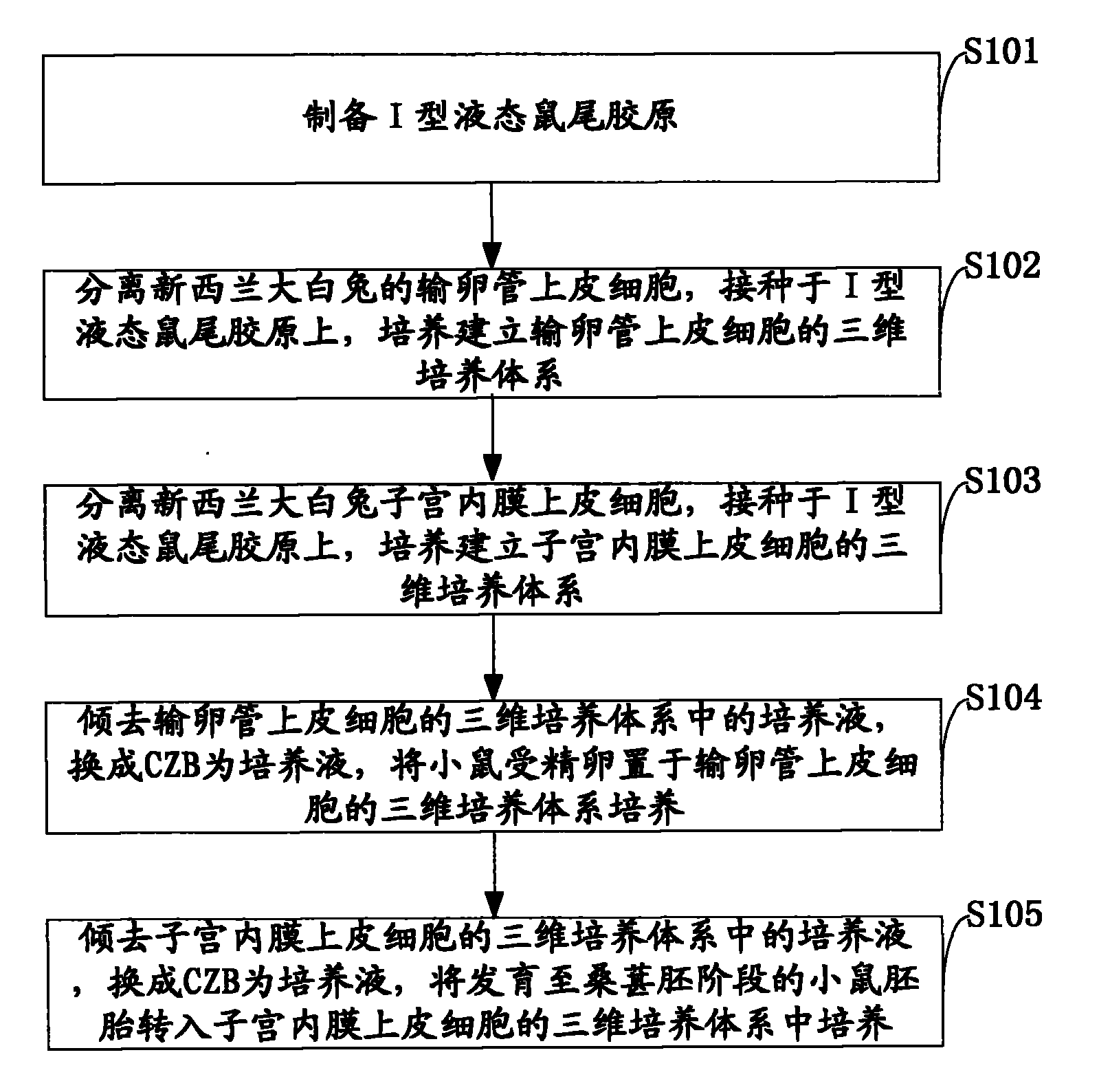 Method for carrying out embryo in-vitro culture by means of three-dimensional sequential co-culture