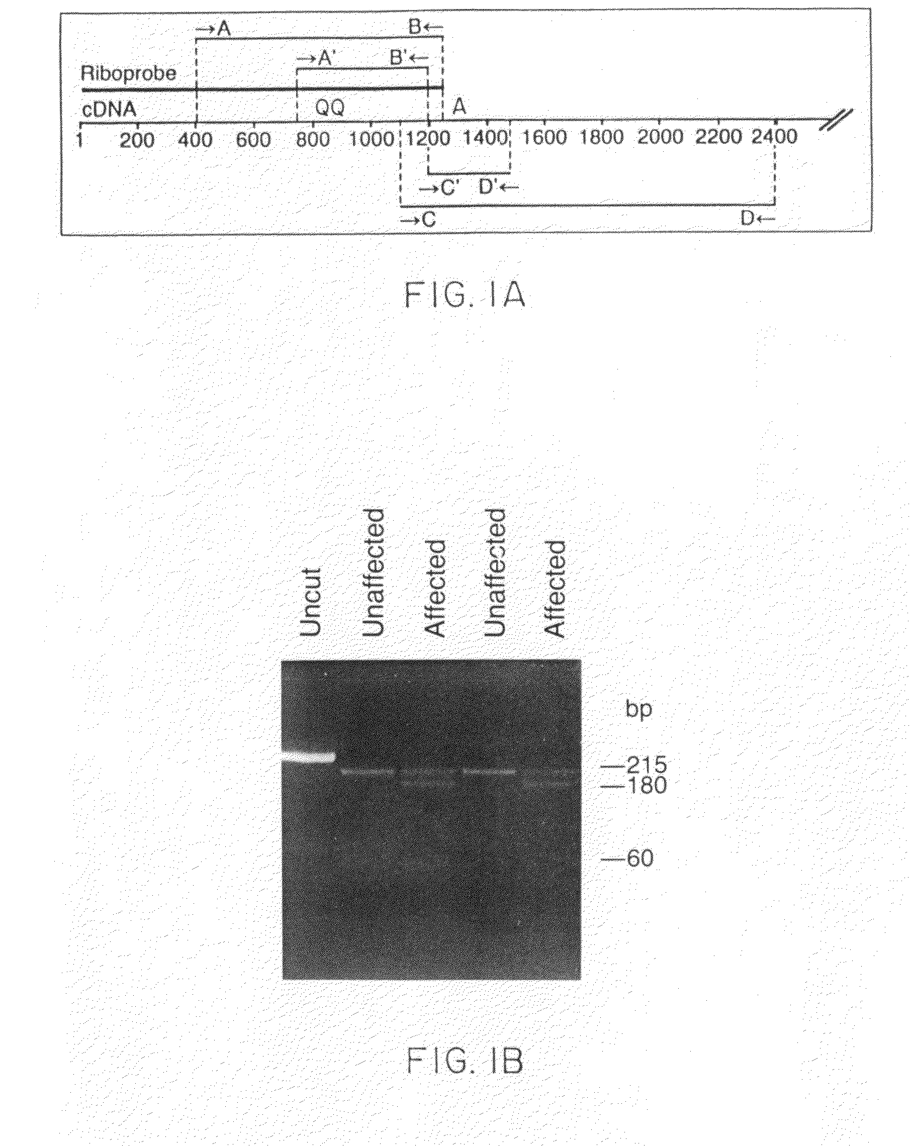 Method for detecting disease-associated mutations