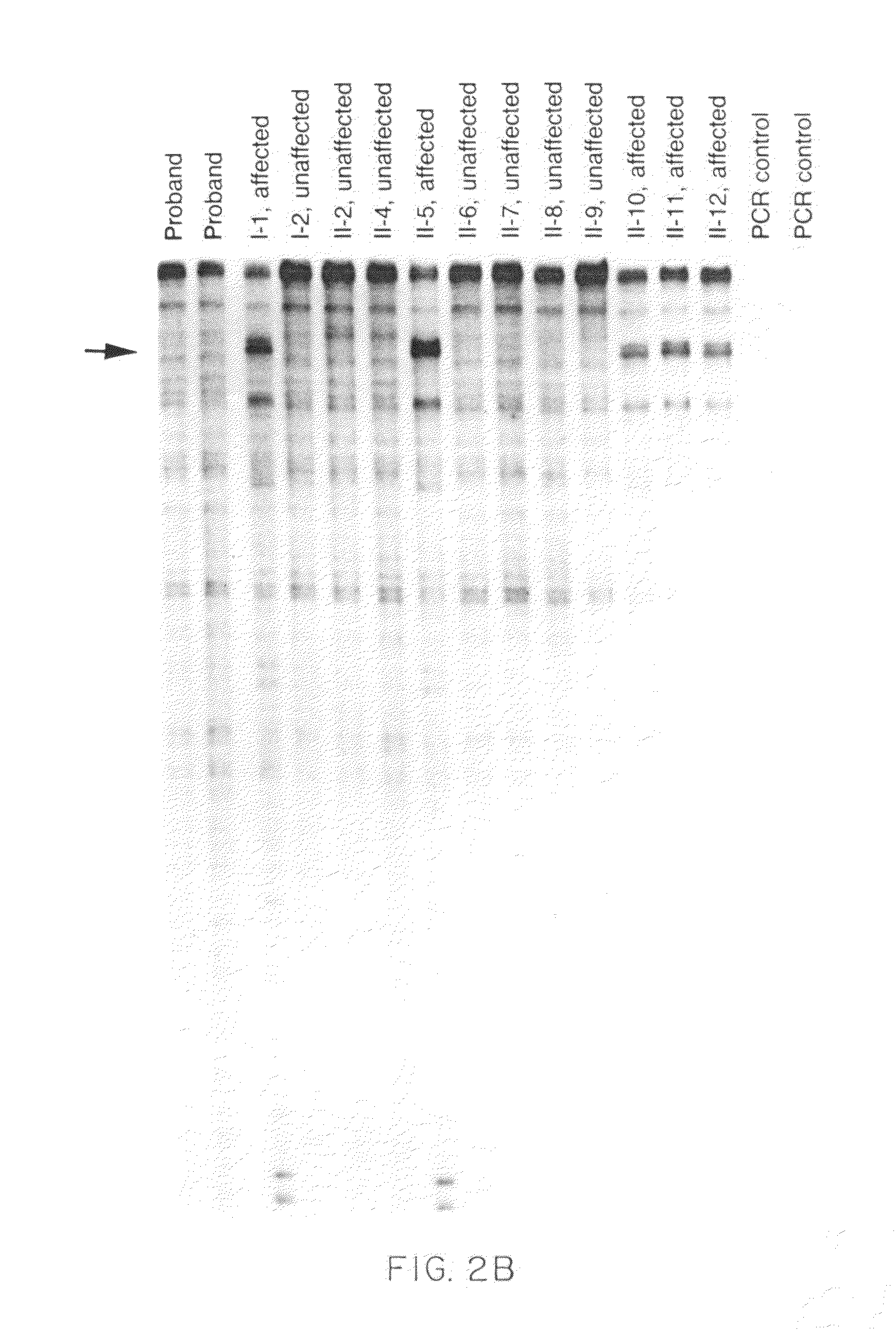 Method for detecting disease-associated mutations