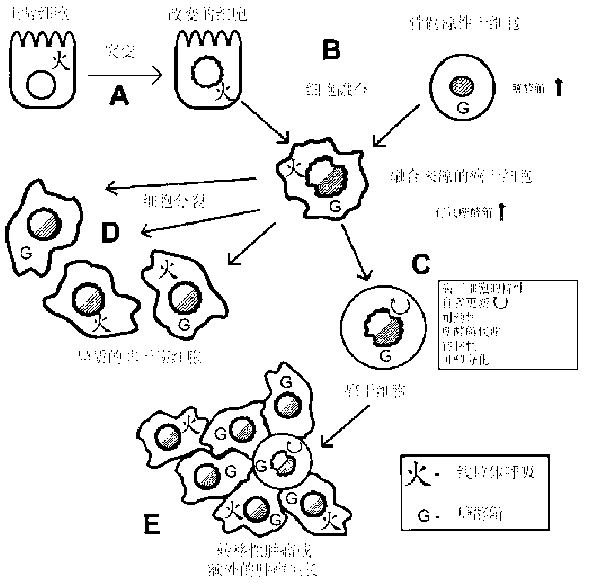 Methods of metabolic targeting cancer cells using che mo- and immunotherapy for treating cancer