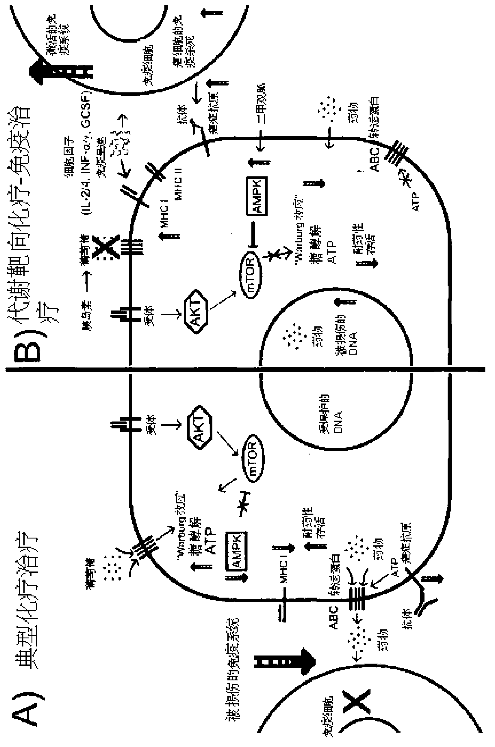 Methods of metabolic targeting cancer cells using che mo- and immunotherapy for treating cancer