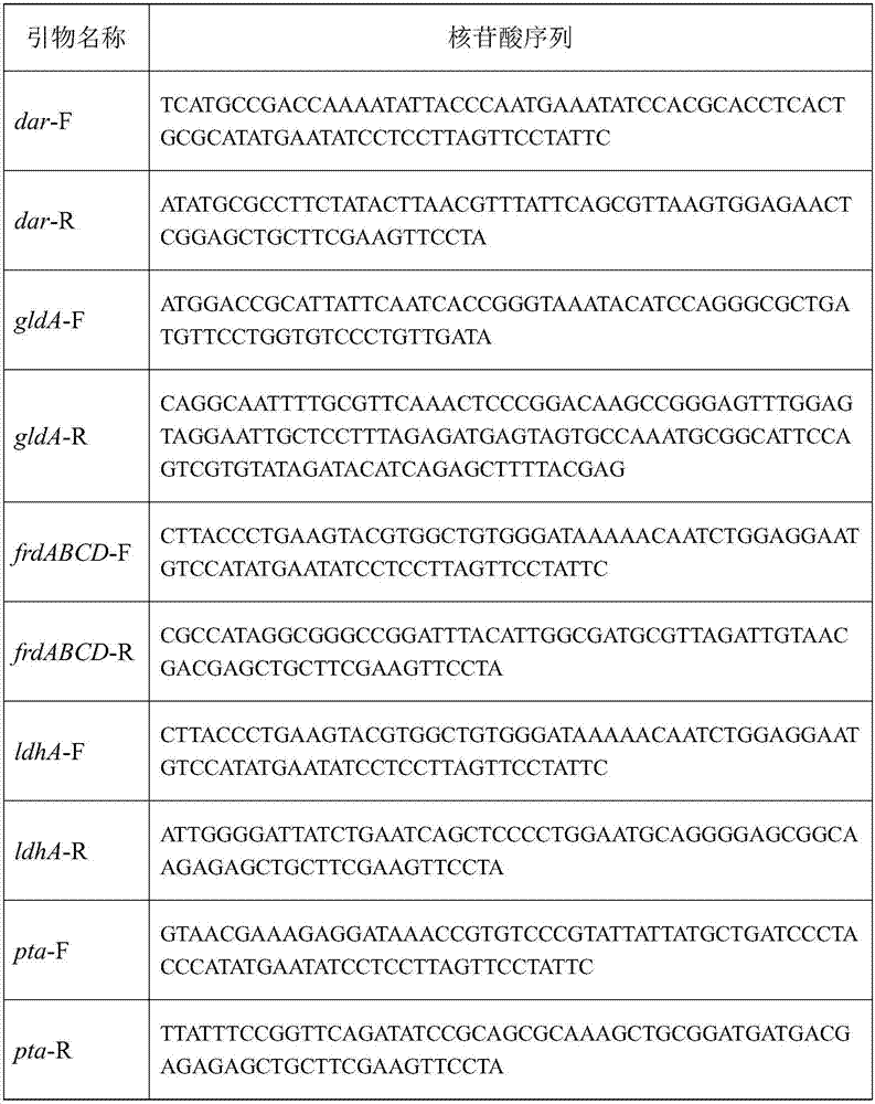 Method for constructing genetic engineering strains for producing (R)-acetoin and application of genetic engineering strains