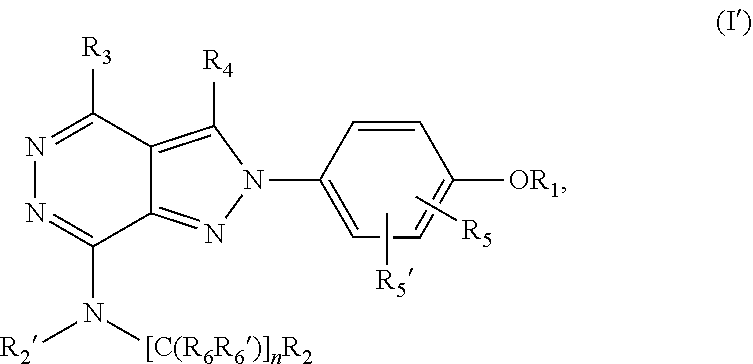 (hetero)arylalkylamino-pyrazolopyridazine derivatives having multimodal activity against pain