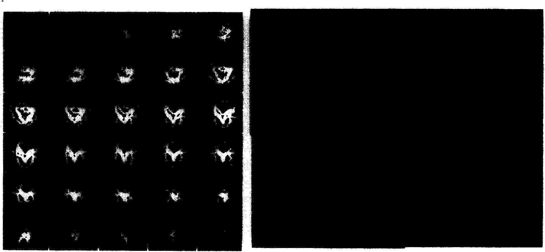 Method for producing light field or wide field fluorescence light section