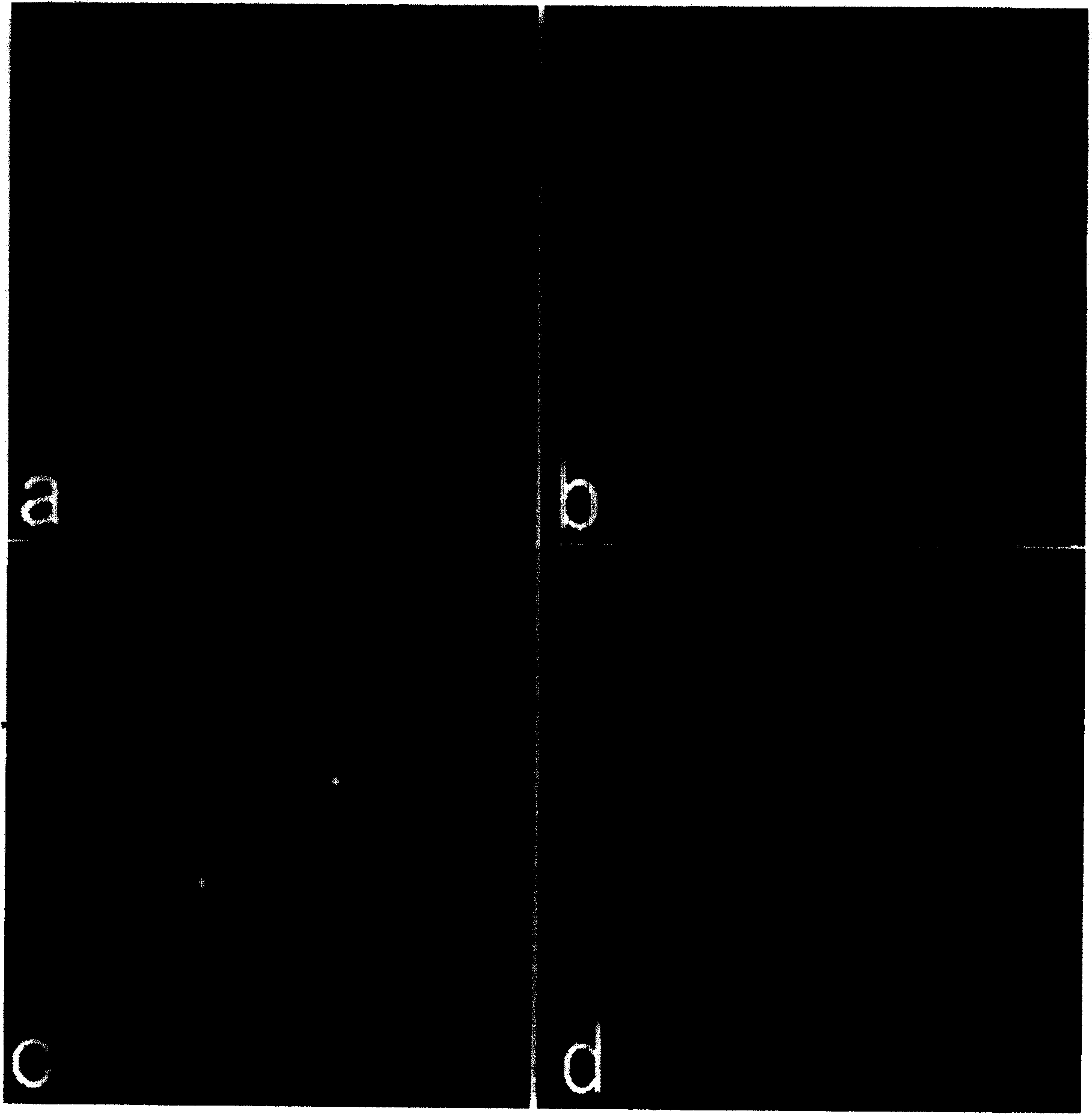 Method for producing light field or wide field fluorescence light section