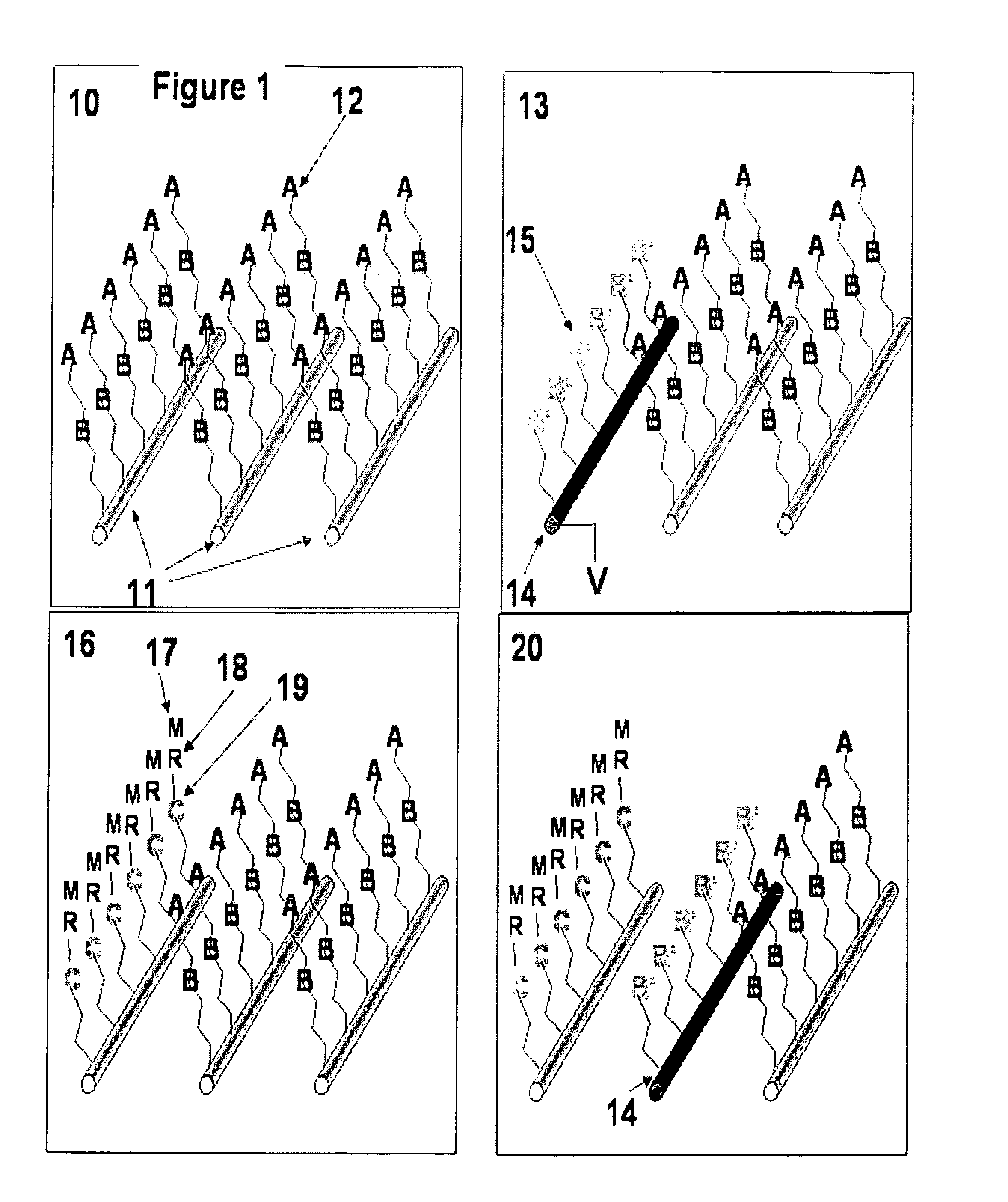 Electrochemical method for attaching molecular and biomolecular structures to semiconductor microstructures and nanostructures