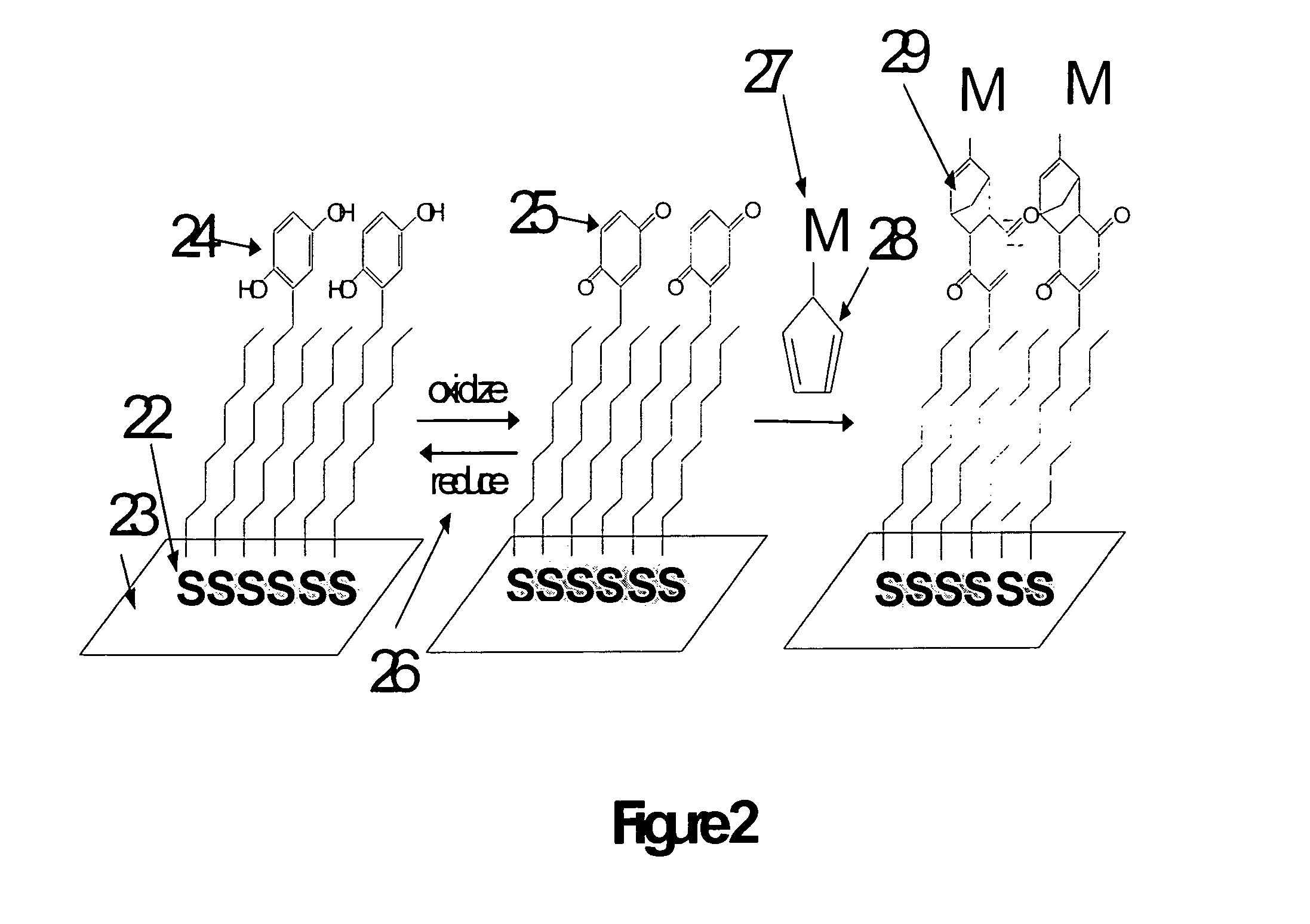 Electrochemical method for attaching molecular and biomolecular structures to semiconductor microstructures and nanostructures