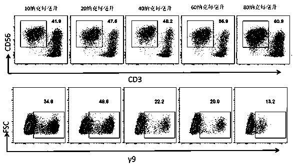 Building method of NK (natural killer) cell and gamma delta T cell co-culture