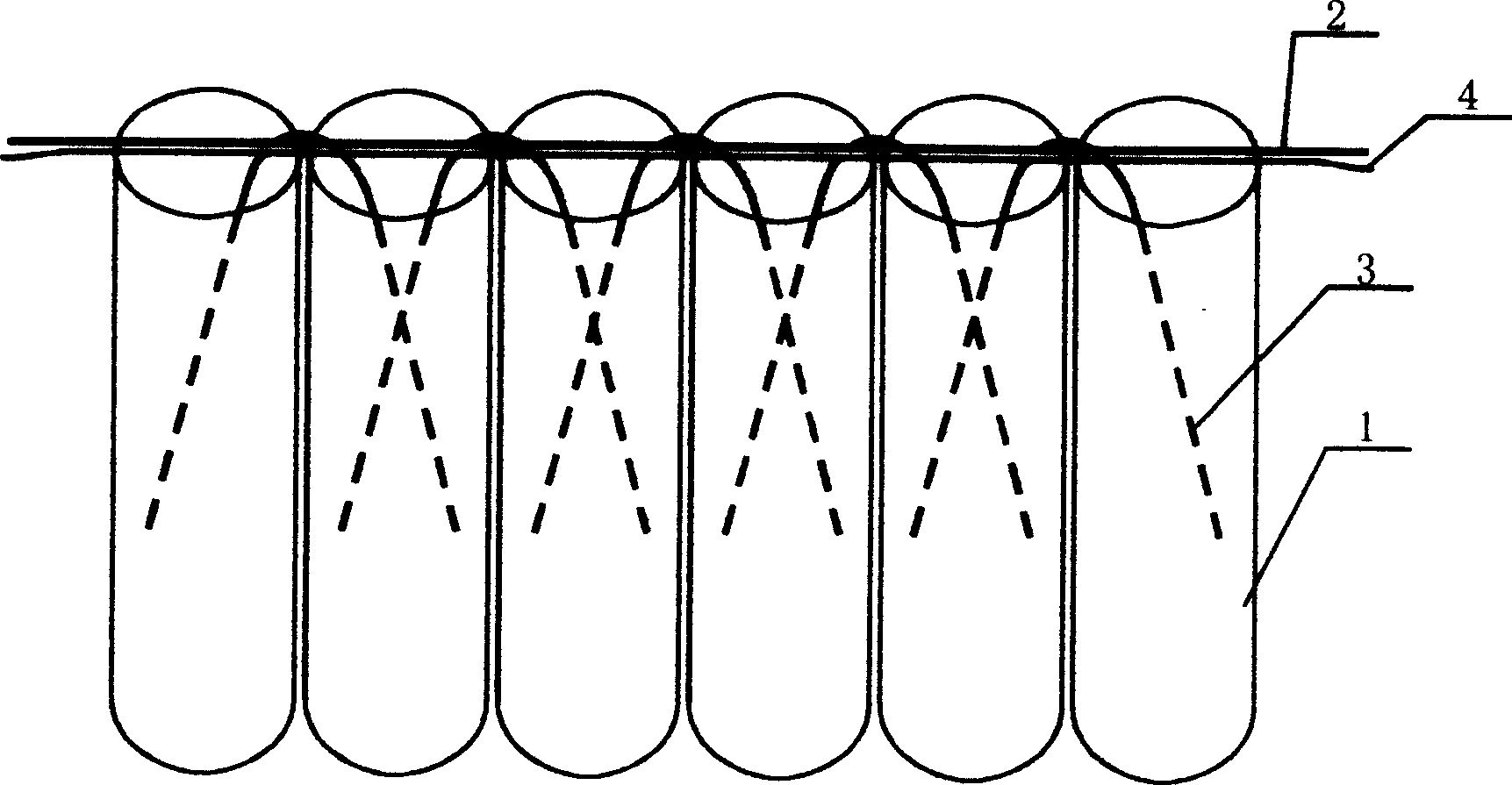 Firecracker and production method