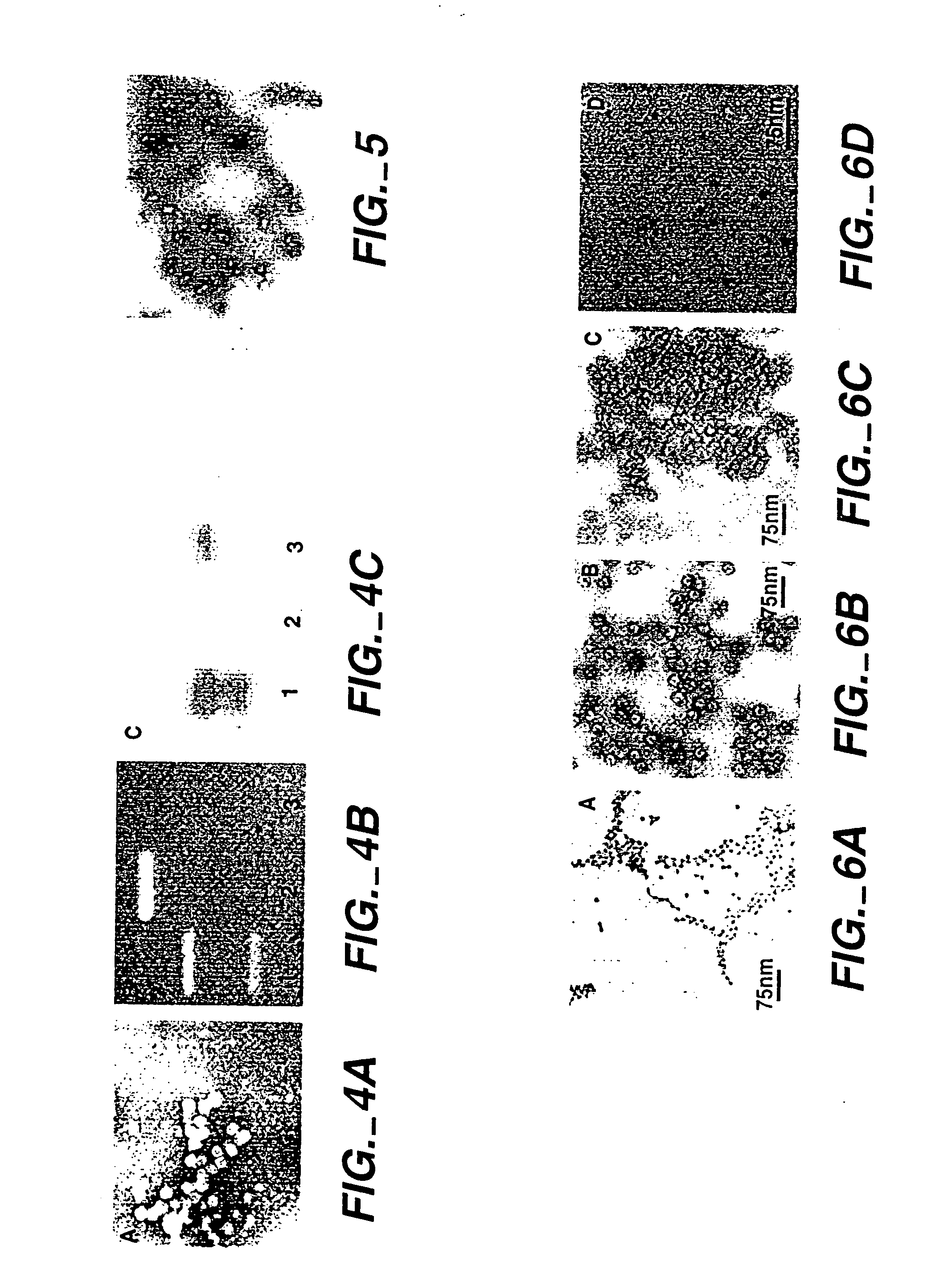 Protein cages for the delivery of medical imaging and therapeutic agents