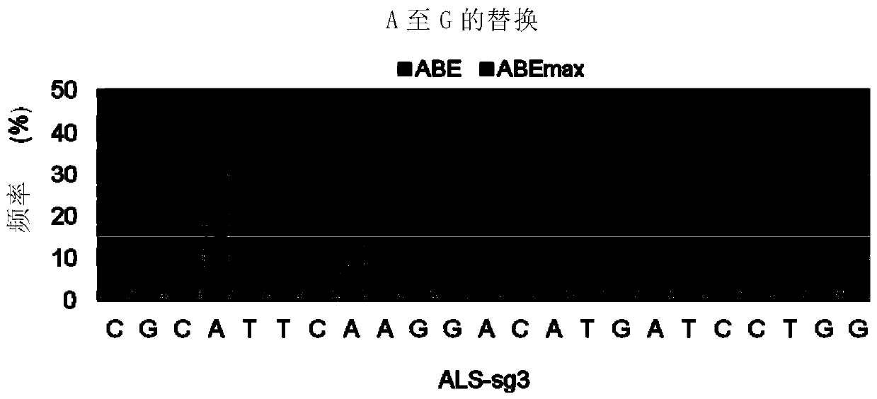 Nucleic acid construct for gene editing